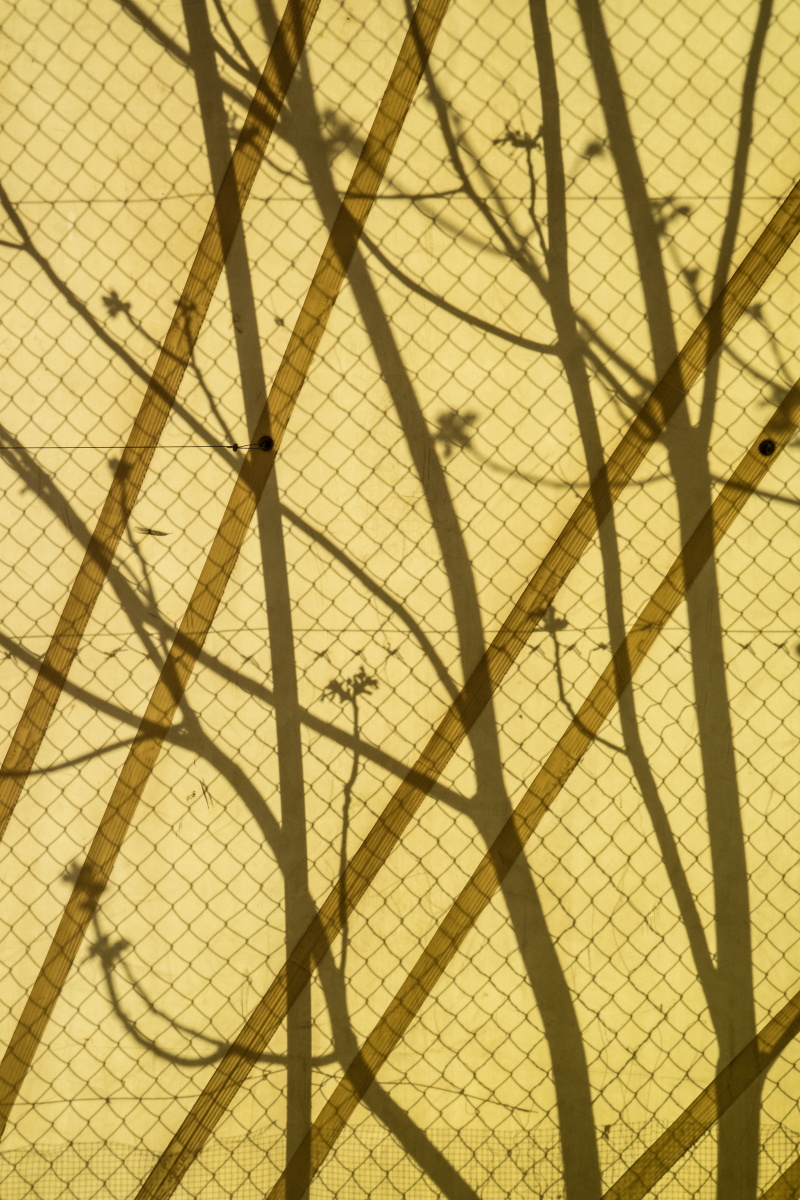 paesaggi-interiori-19-di-davide-vergnano