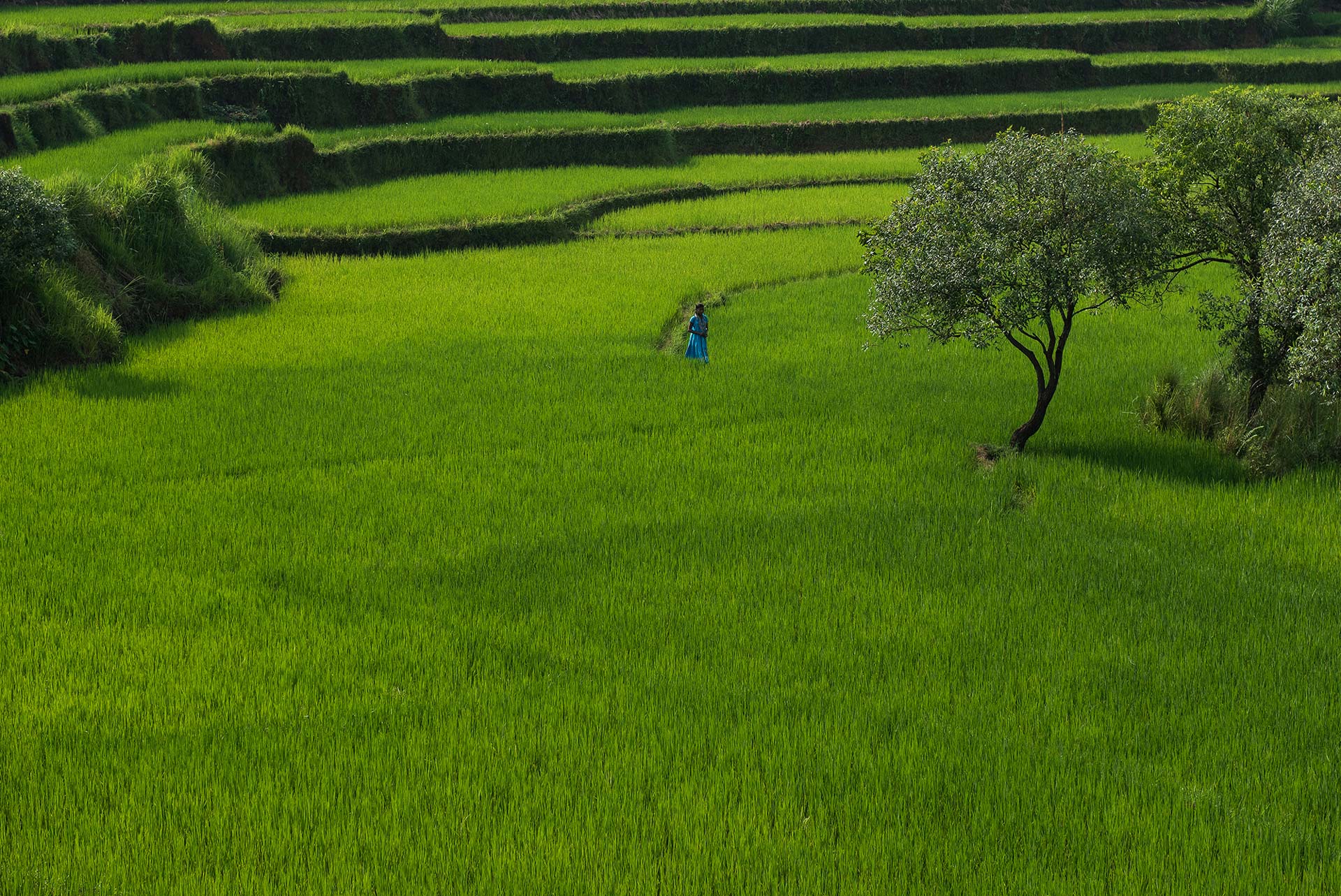 lanteri-750_5030_low